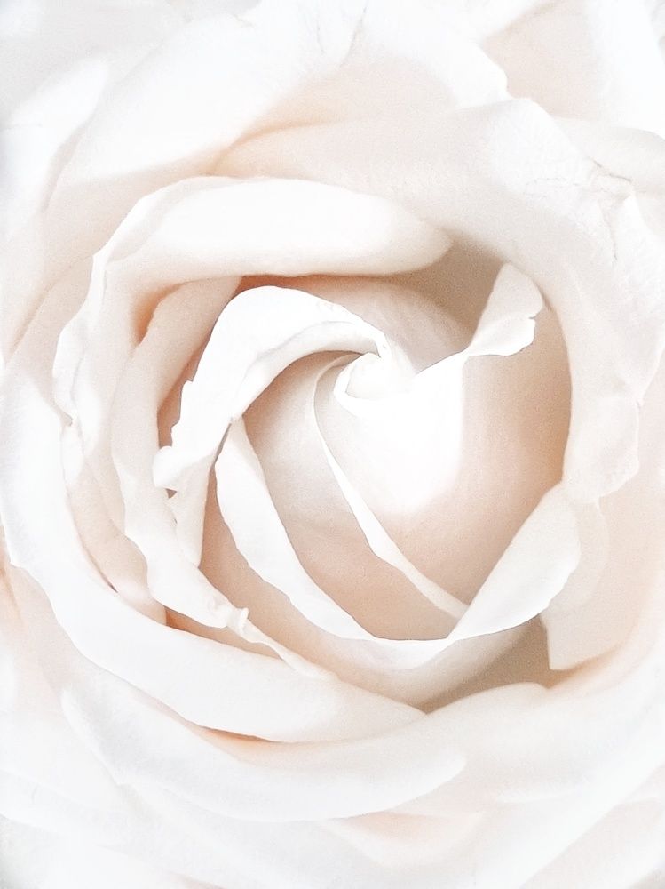 Photograph by Hanna Bourne