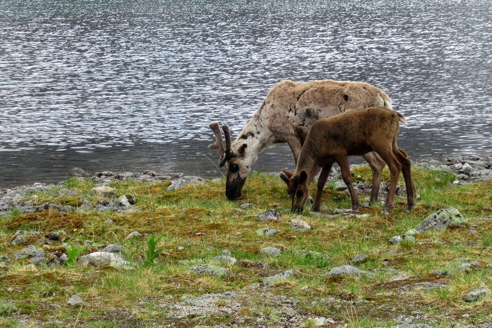 Photograph by Ольга Березовская