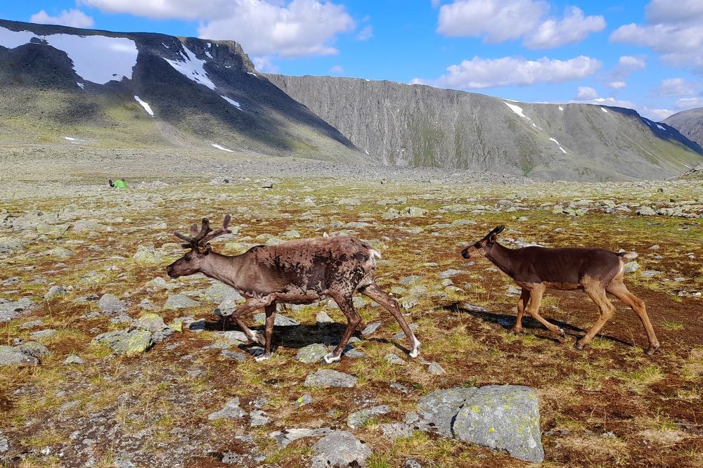 Photograph by Ольга Березовская
