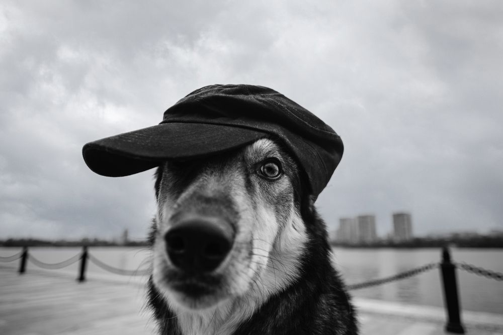 Photograph by Татьяна Степанова