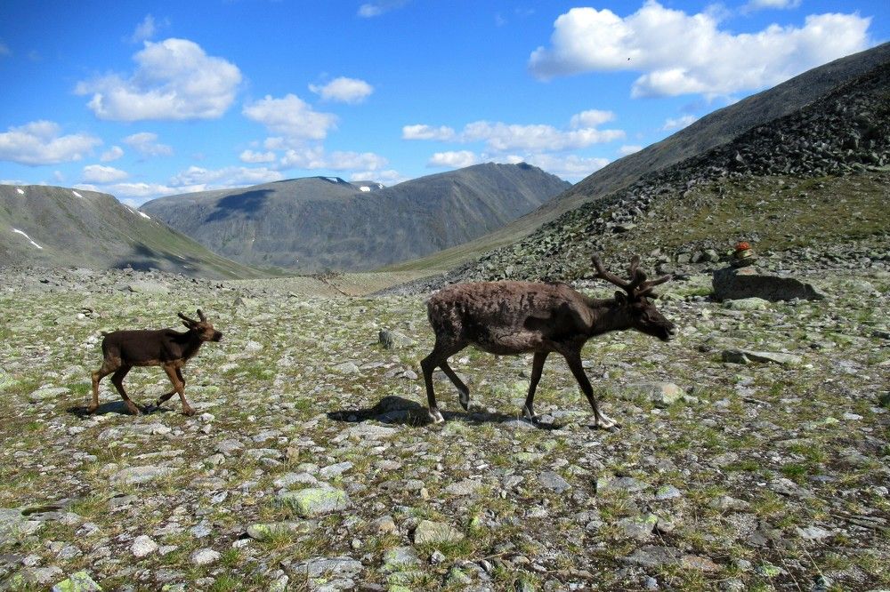 Photograph by Ольга Березовская