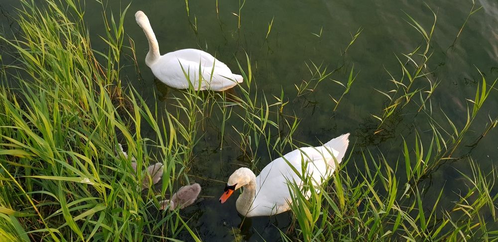 Photograph by Эдмунд