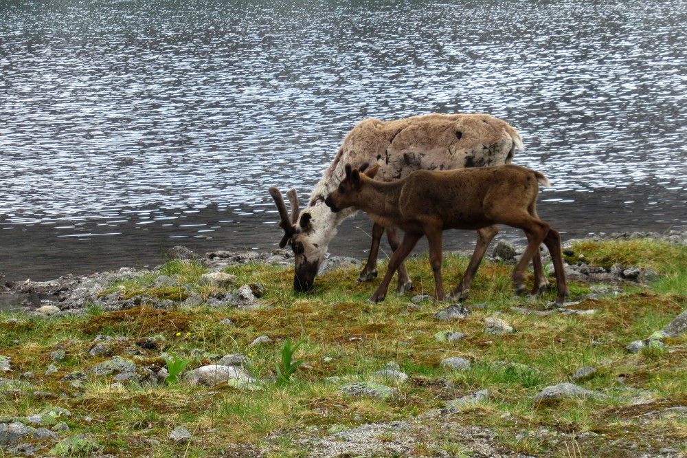 Photograph by Ольга Березовская