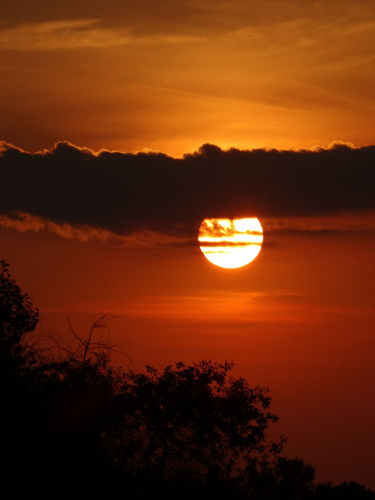 Photograph by Мария Широких