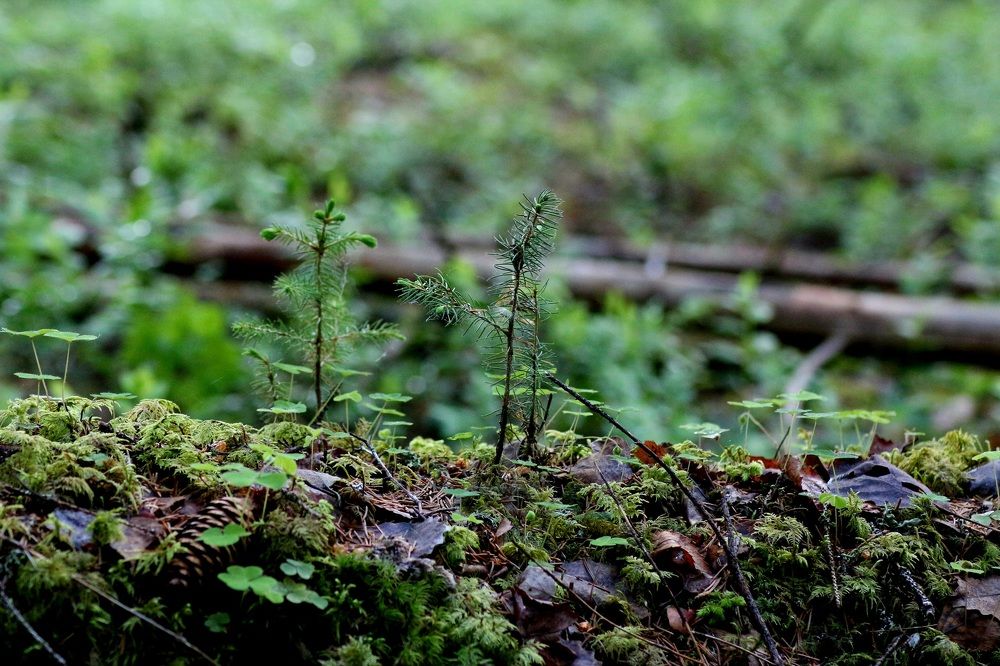 Фотография автора Егоров Максим