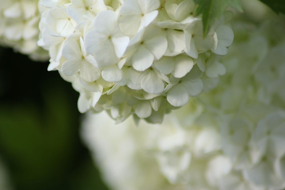 Фотография автора Егоров Максим