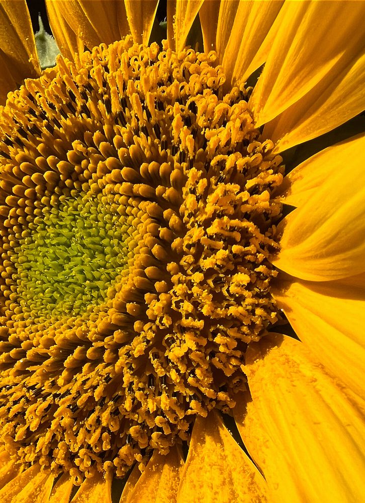 Photograph by Лия Дайман