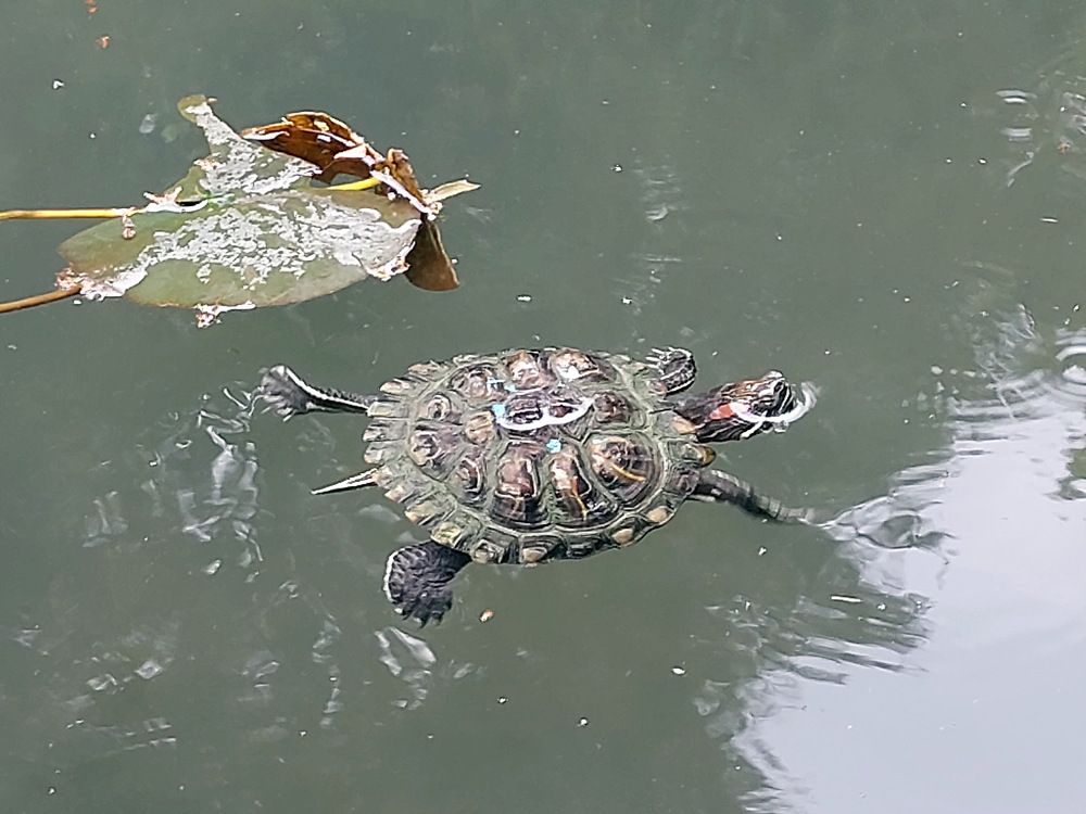 Photograph by Юрий Подвойский