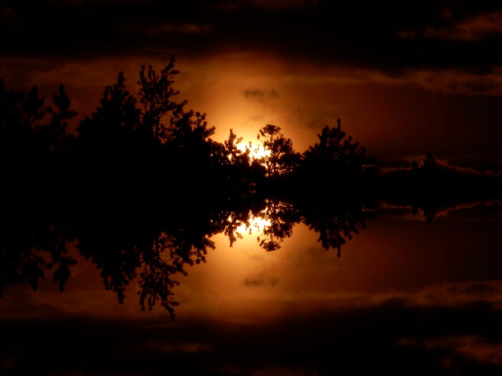 Photograph by Георгий Салюков