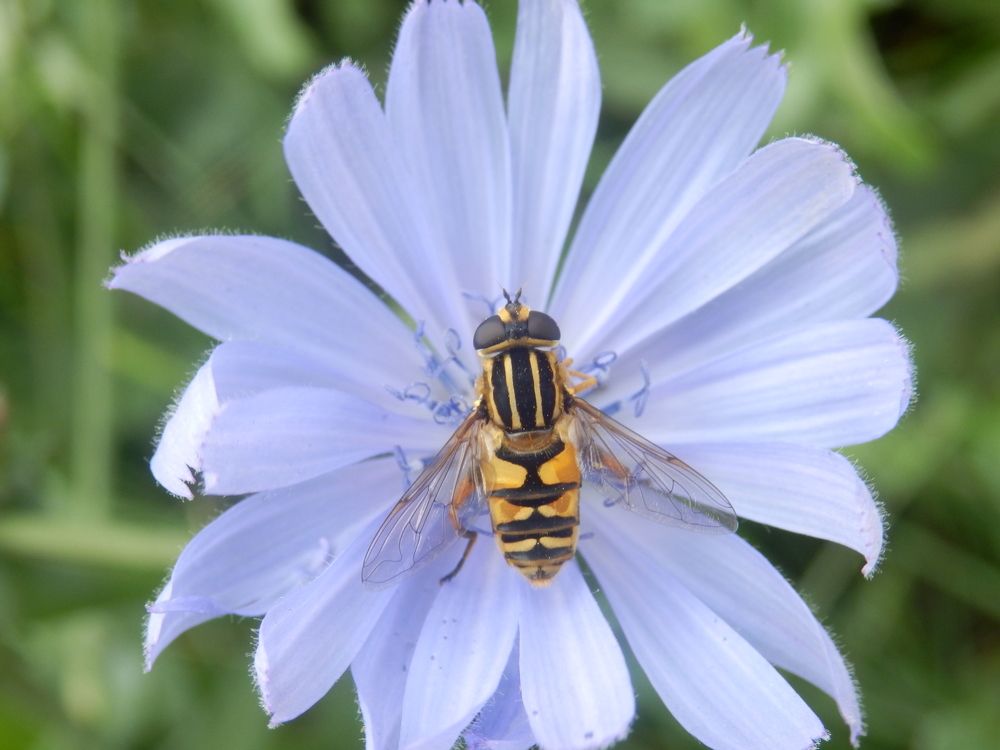 Photograph by Георгий Салюков