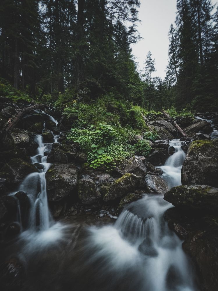 Фотография автора Артур Зюзин