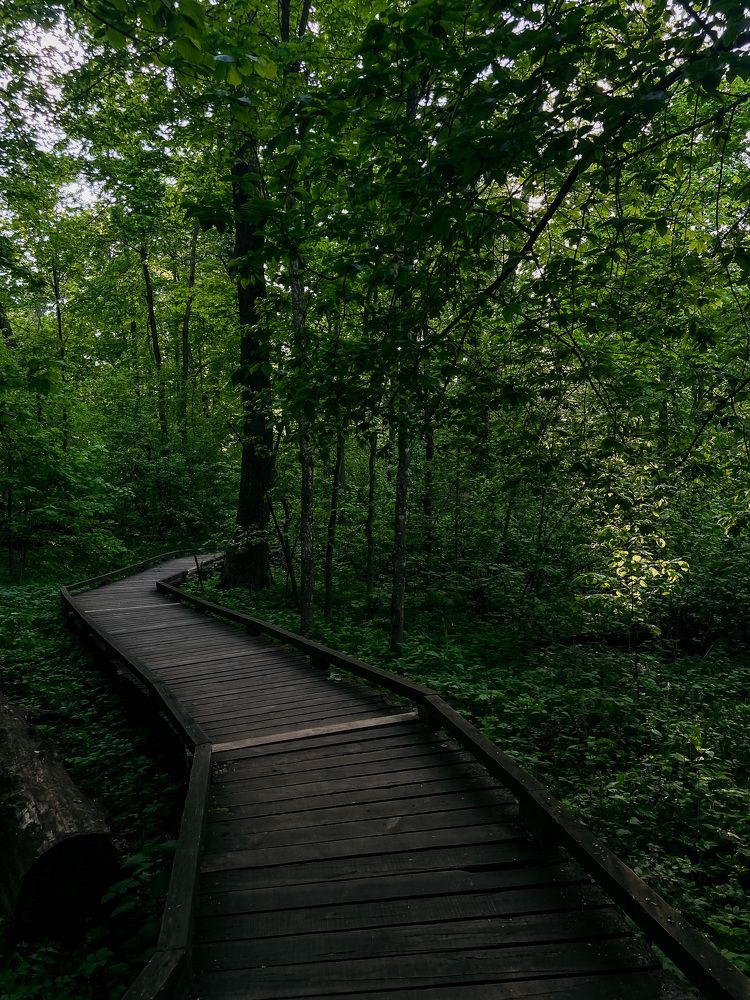 Photograph by Анна Леонова