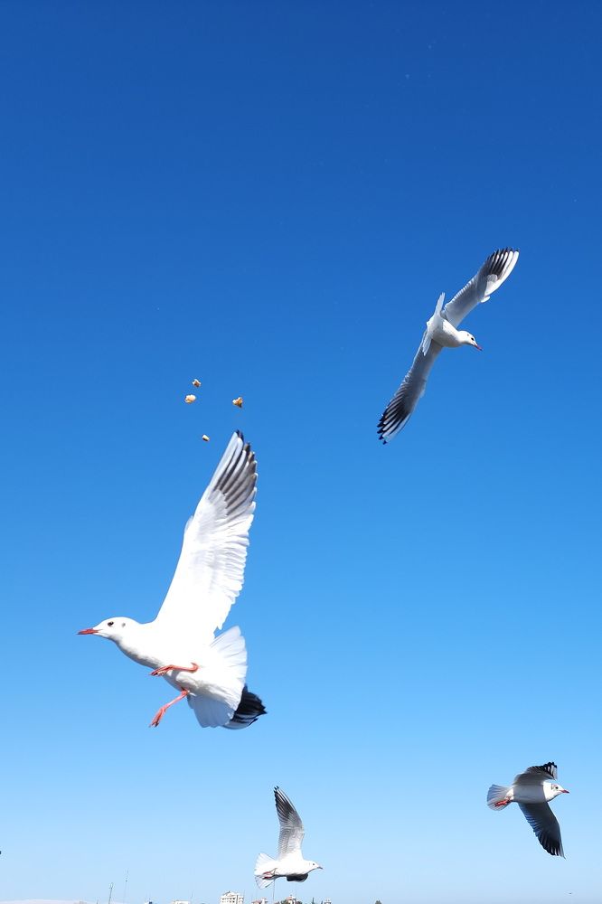 Photograph by Mina Mamdouhi