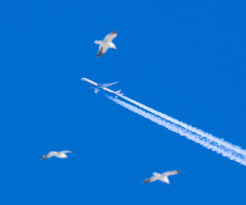 Малая и большая авиация