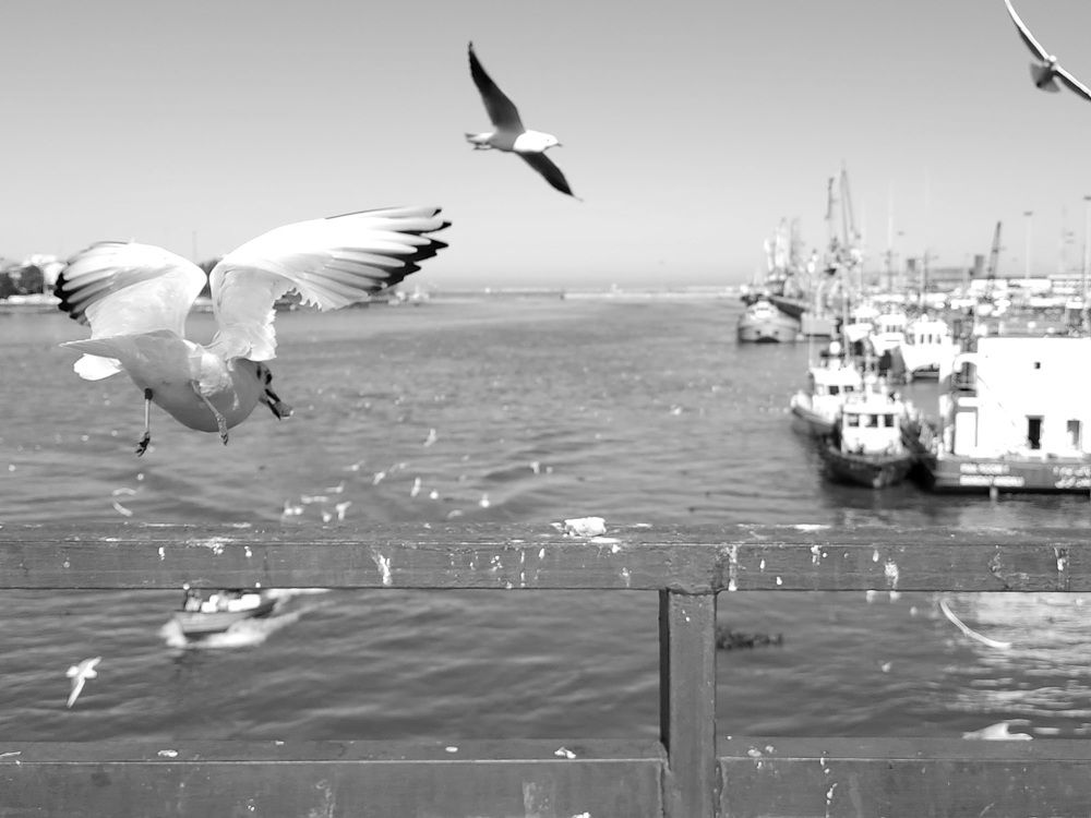 Photograph by Mina Mamdouhi