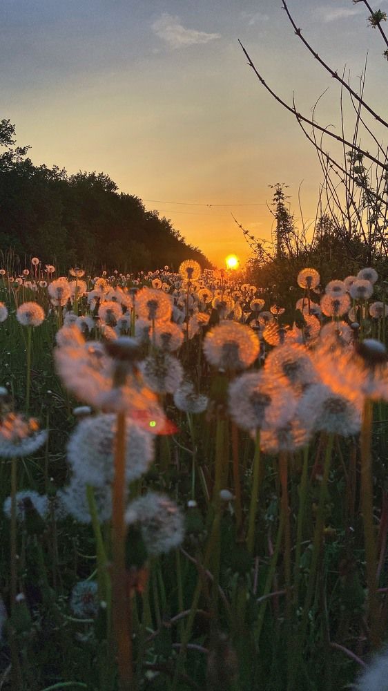 Photograph by Анна Леонова