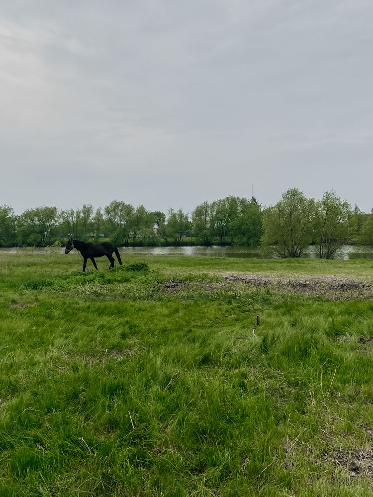 Photograph by Анна Леонова