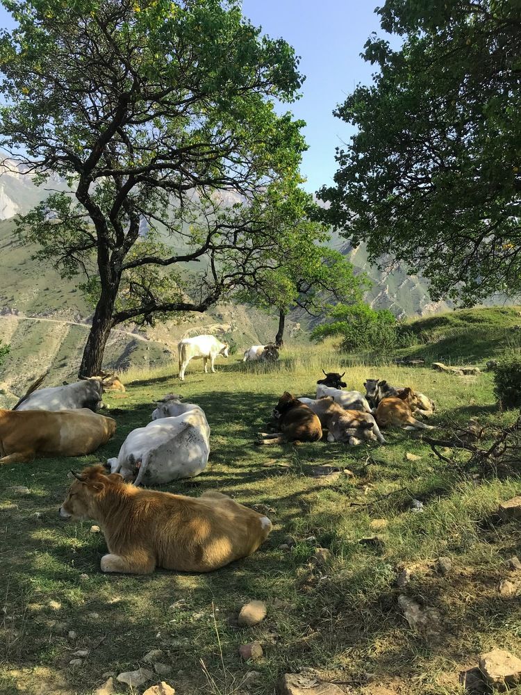 Photograph by Анна Леонова