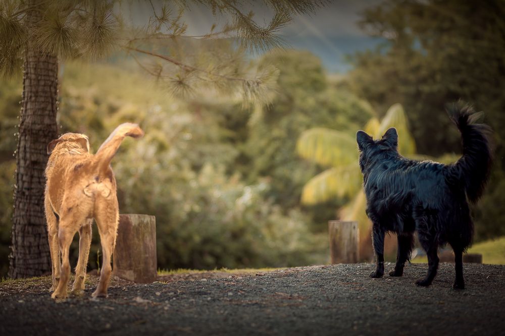 Photograph by Marcia Camargo