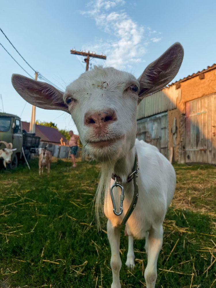 Photograph by Анна Леонова