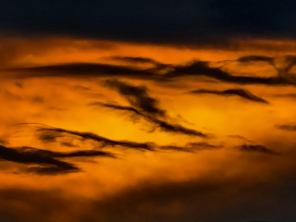 Photograph by Лариса Когтева