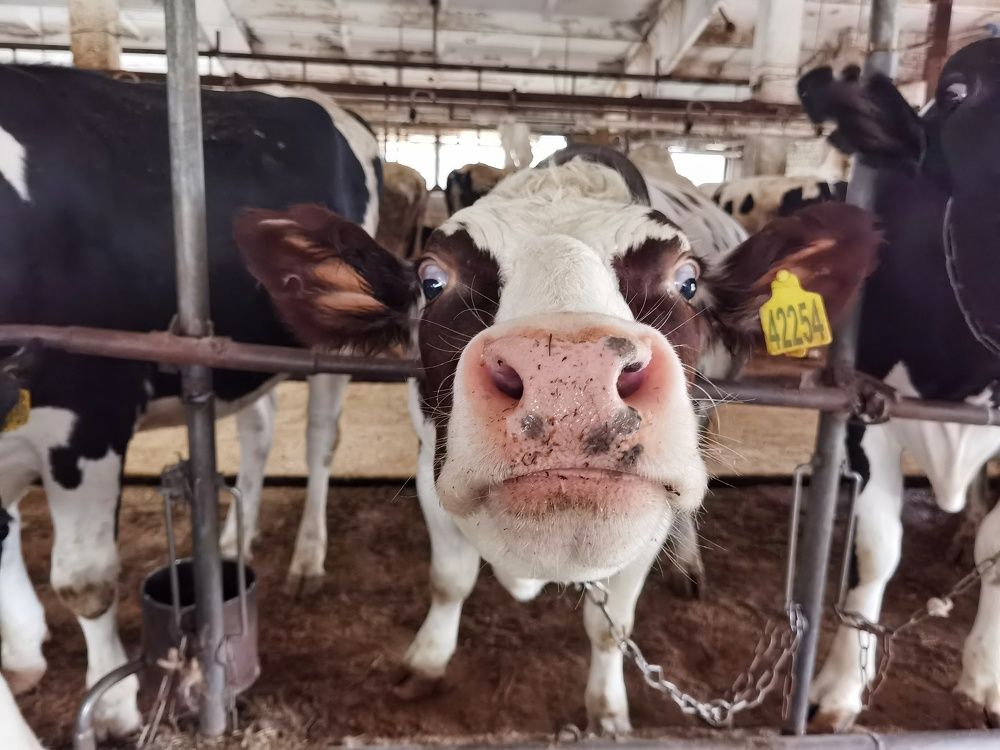 Photograph by Tanzilya Gabidullina