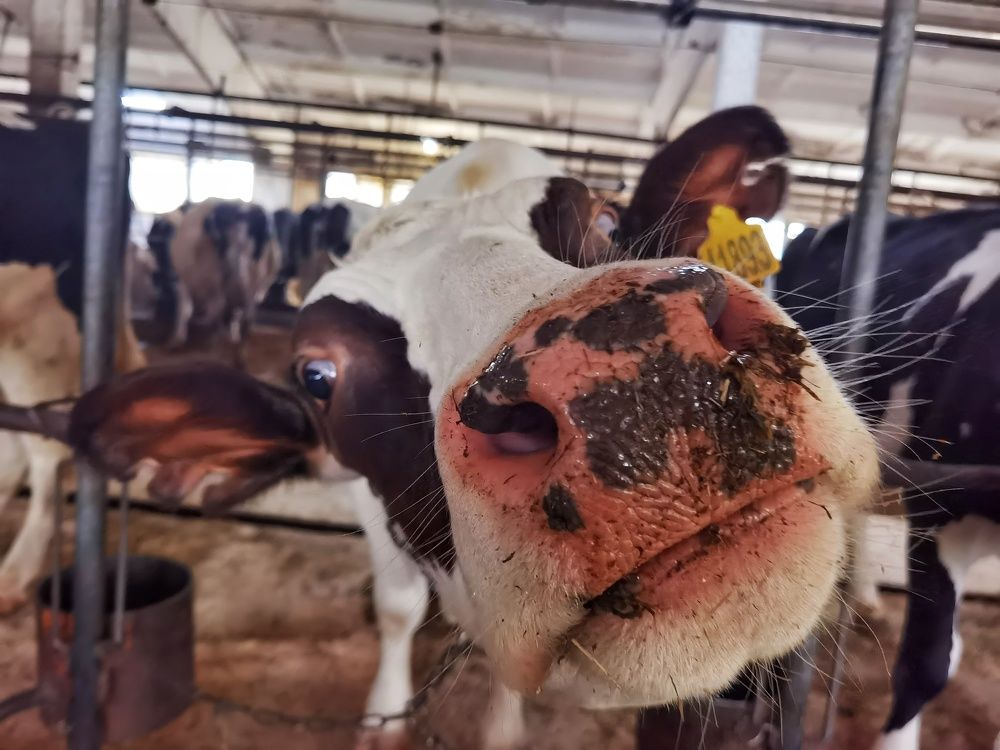 Photograph by Tanzilya Gabidullina