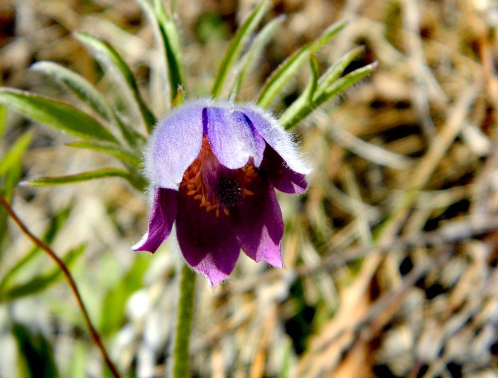 Photograph by Иван Крылов
