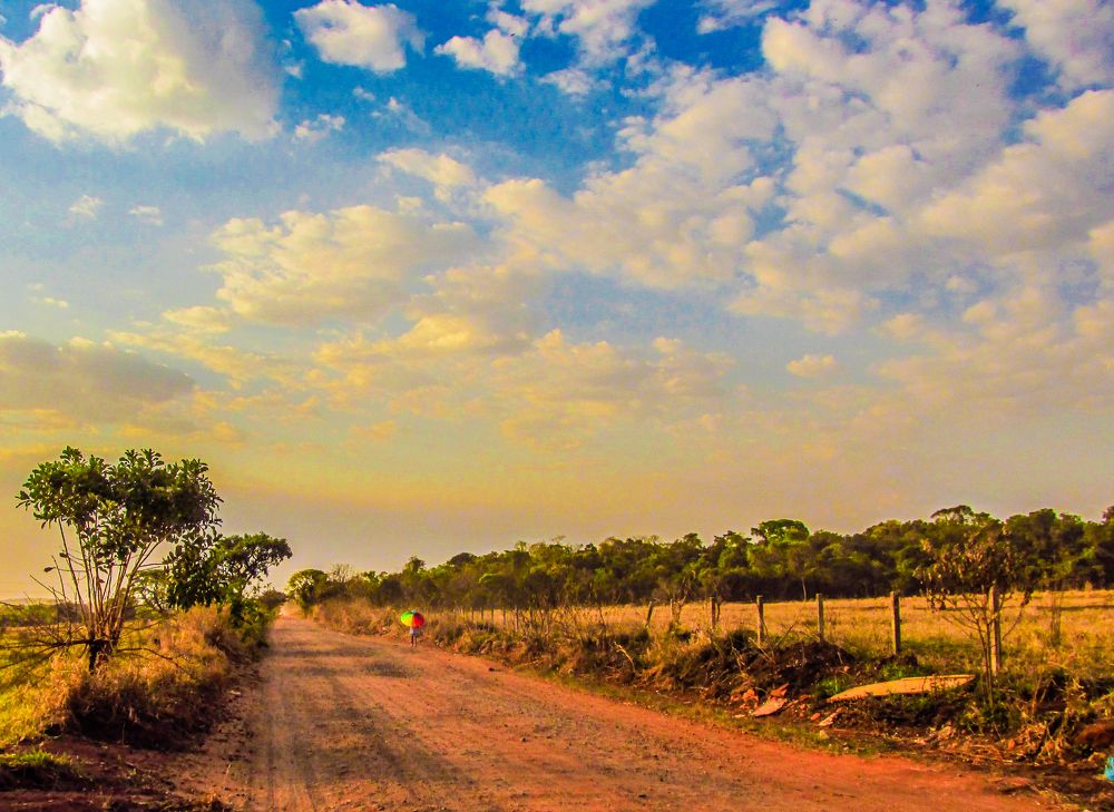 Photograph by Régis Santos