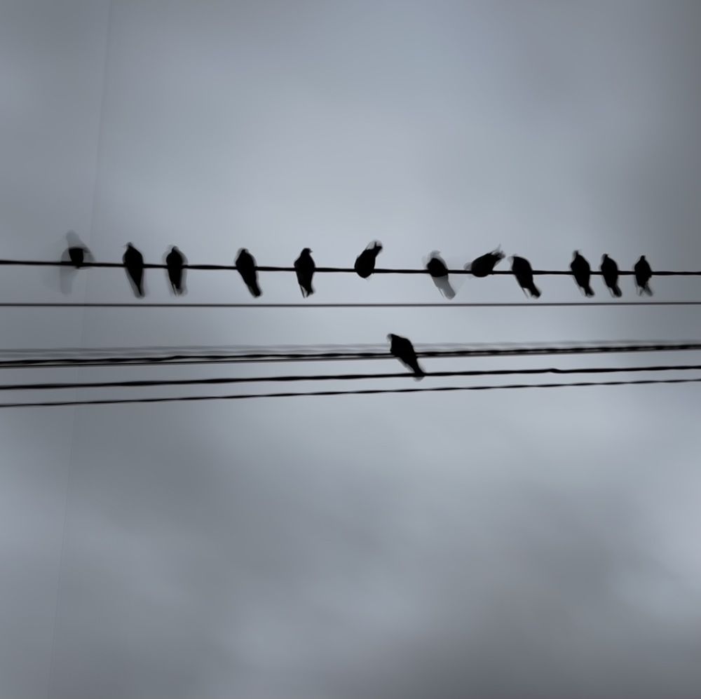 Photograph by Anna Turks