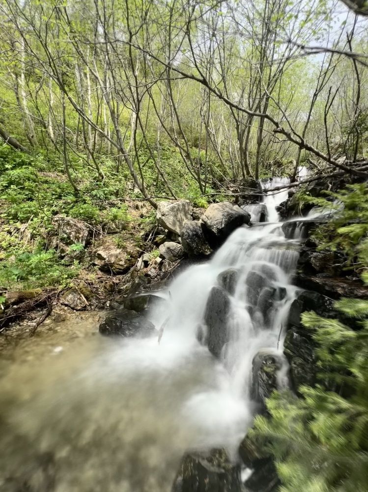 Photograph by Anna Turks