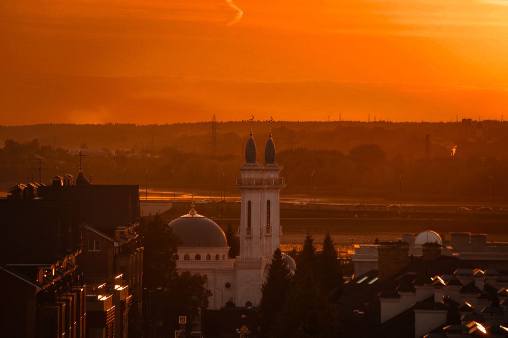 Photograph by Elvira