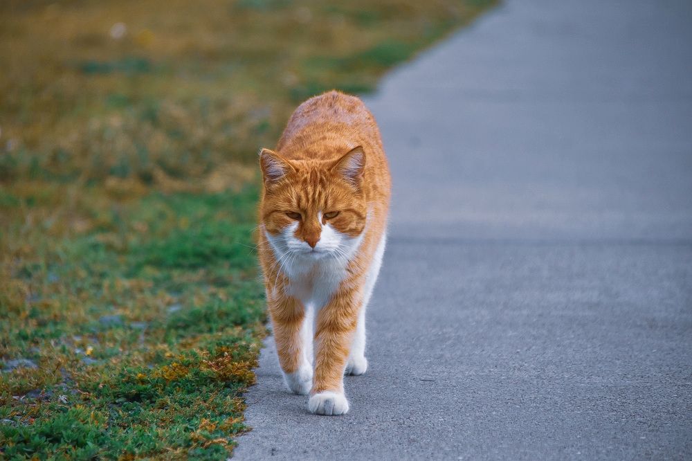 Photograph by Elvira