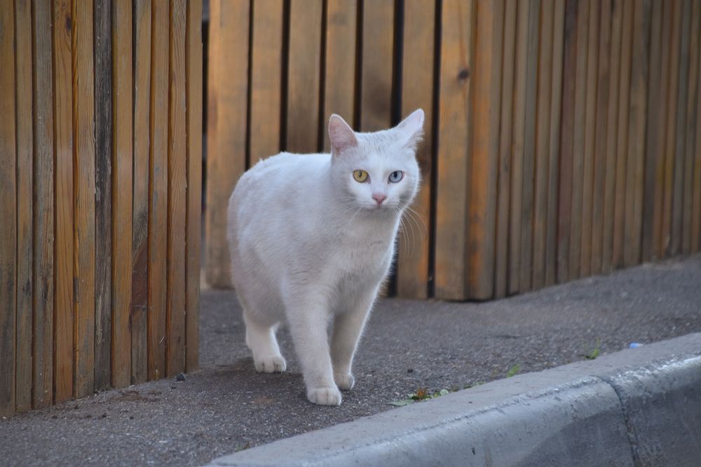 Photograph by Elvira