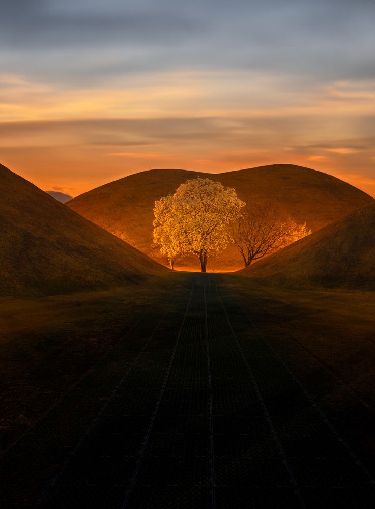 Фотография автора NGUYEN NGOC SON