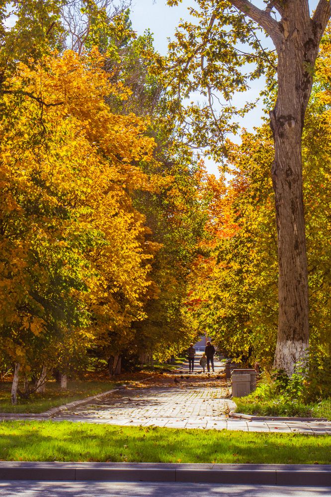 Photograph by Anna Turks