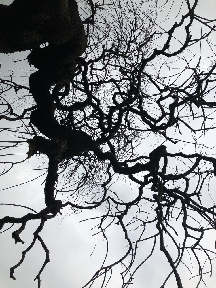 Photograph by Anna Turks