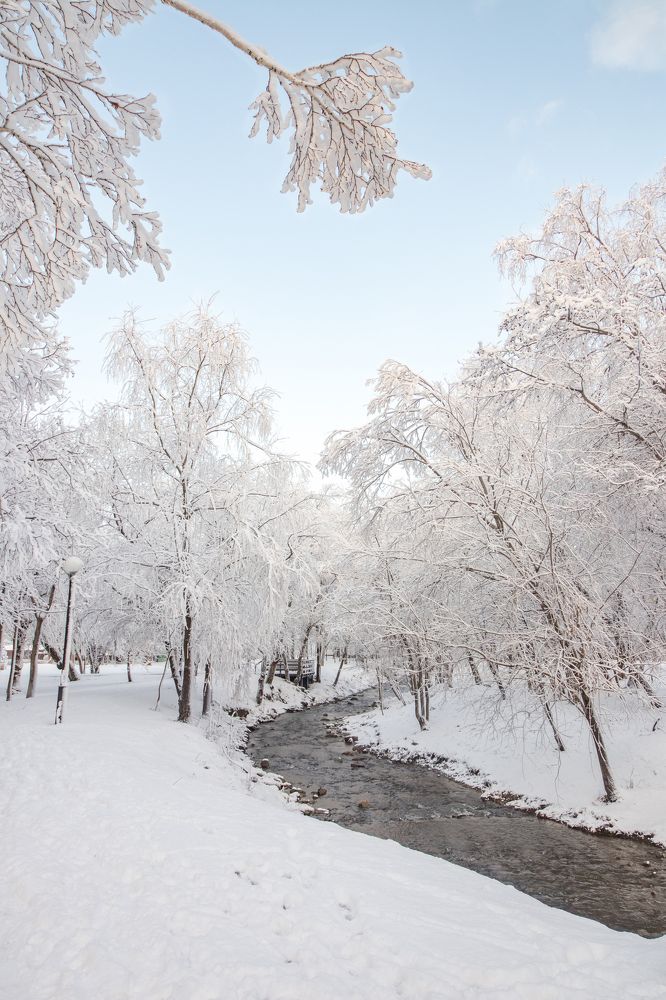 Photograph by Anna Turks