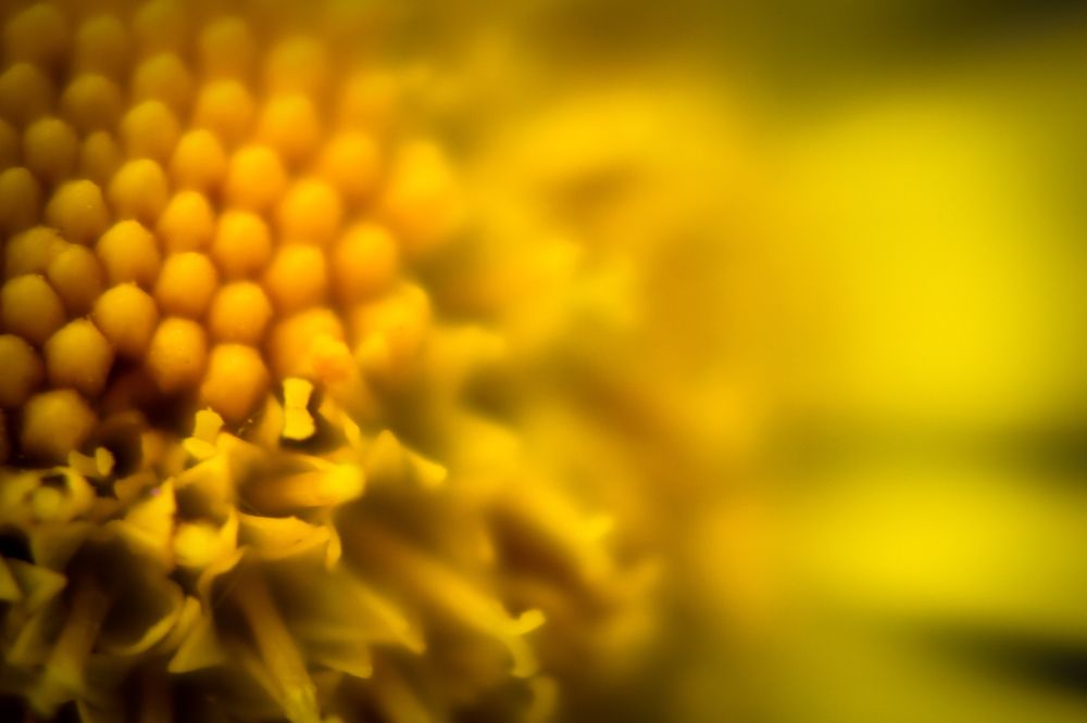 Photograph by Сергей Романченко