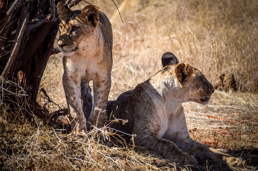 Фотография автора Mykhailo Drozdov