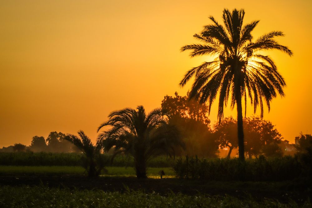 Photograph by Motaz Gohar