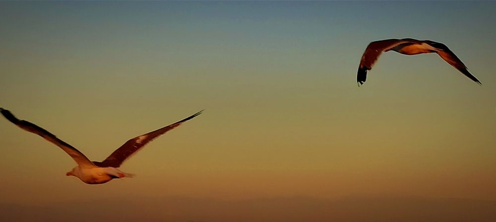 Photograph by Myrsini Charalampidou