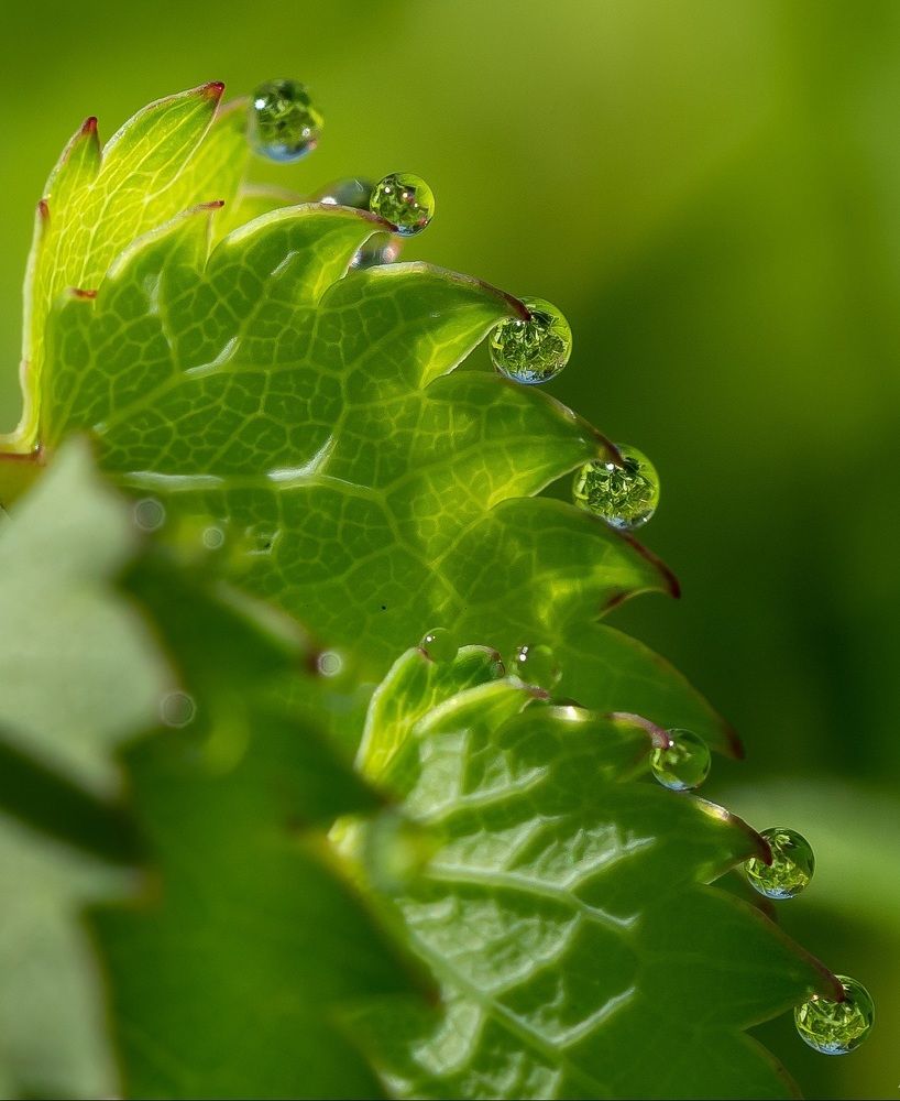 Photograph by Марина Новожилова