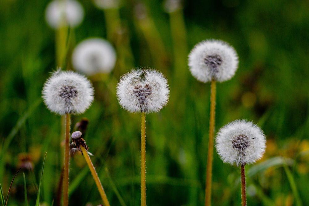 Фотография автора Таисия