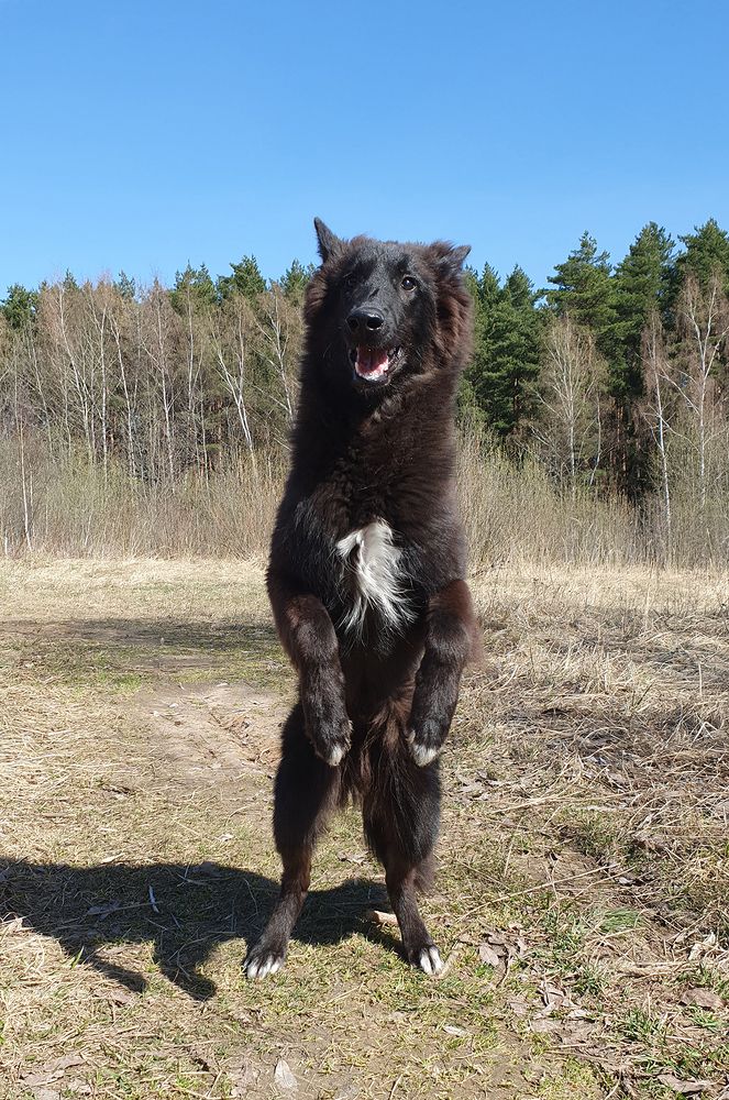 Фотография автора Надежда Лисицына