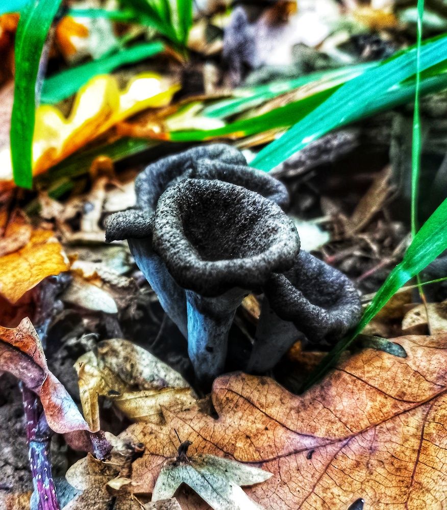 Photograph by Юлия Коробкова