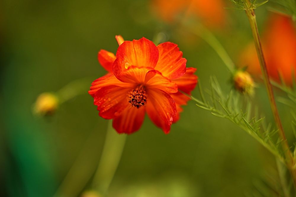 Photograph by Елена Одынец