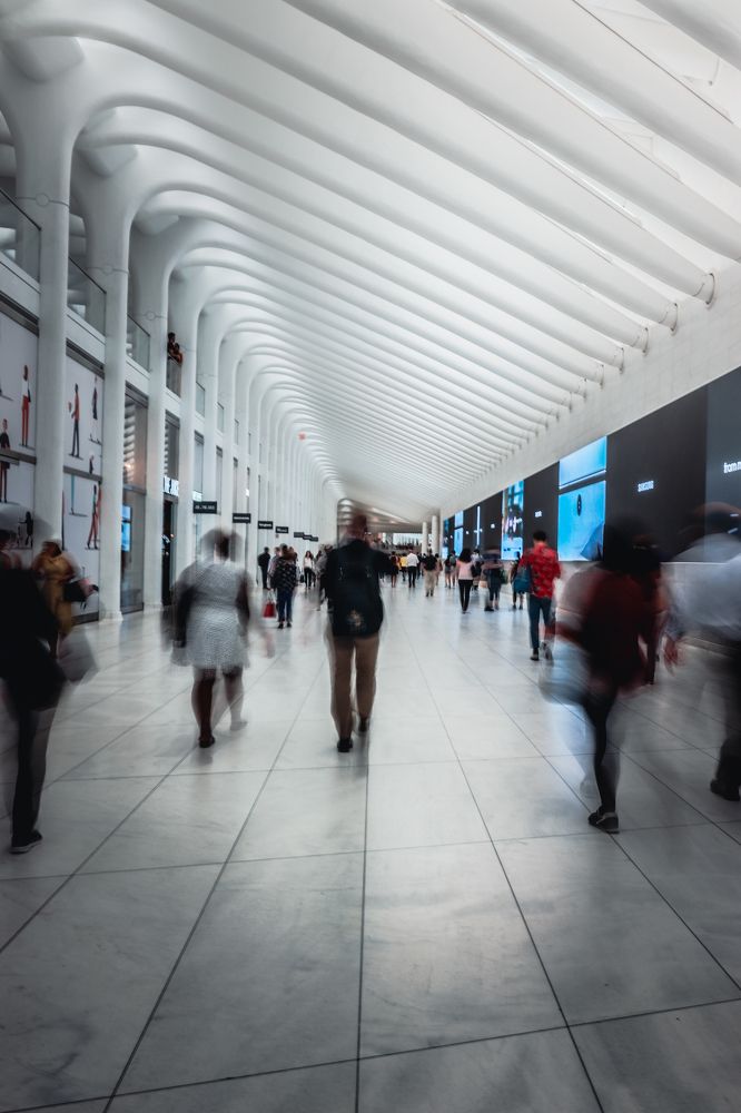 Photograph by Austin