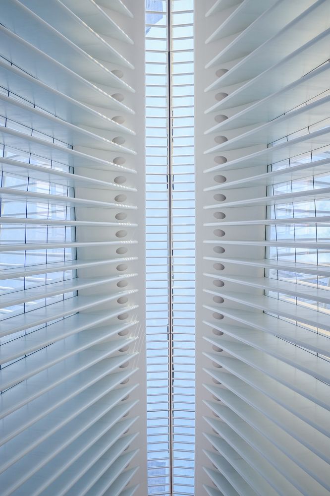 Photograph by Austin