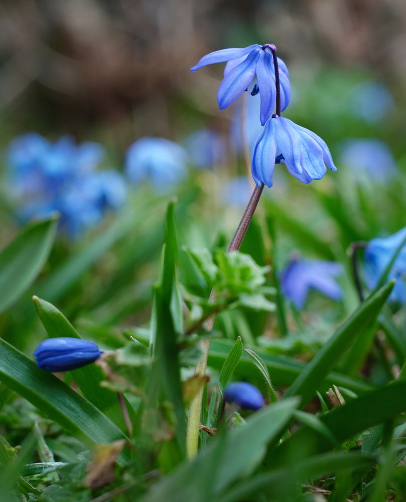 Фотография автора Вадим Коваленко